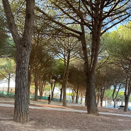 Cap Parenthese By L'avenue - T2 Familial - Proche Plage, Seaquarium - 2e Etage - Parking Prive Le Grau-du-Roi